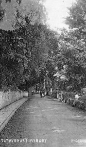 The Avenue