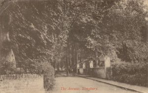 The Avenue