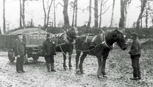 Horse driven Timsbury coal wagons at Upper Conygre Pit. The man in the bowler hat is Ruben Burrows.