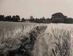 A view along Ha Ha towards The Avenue in 1950s