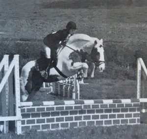 Timsbury Horse Show