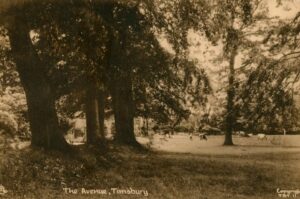 A photograph showing the route of the Avenue before the diversion of the road in 1837 to the present day route.