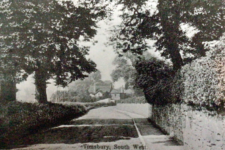 View of South Road looking towards the Laurels.