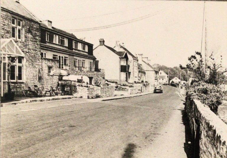Camelot and Mill Bush View on South Road
